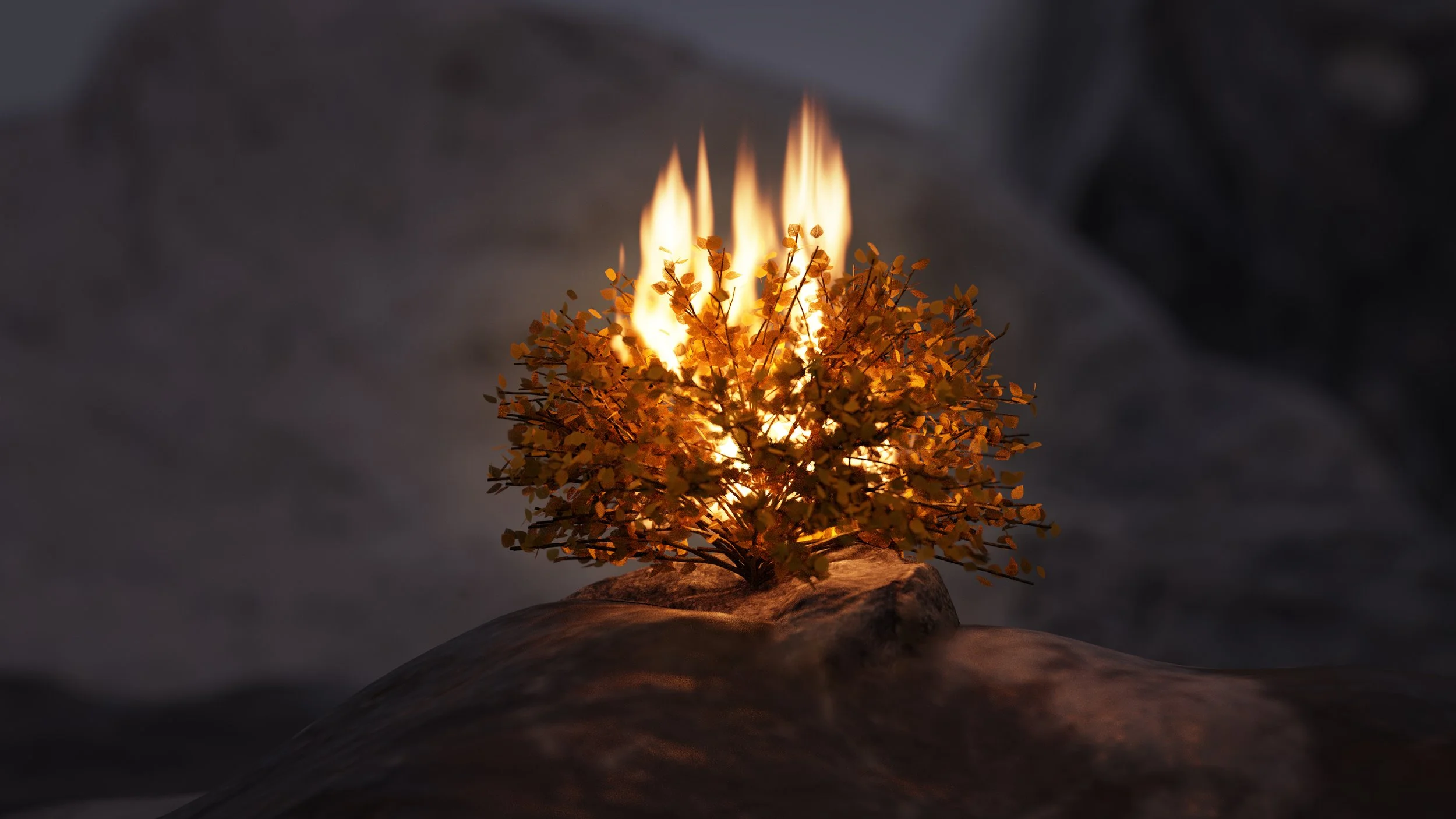 Our Very Own Burning Bush