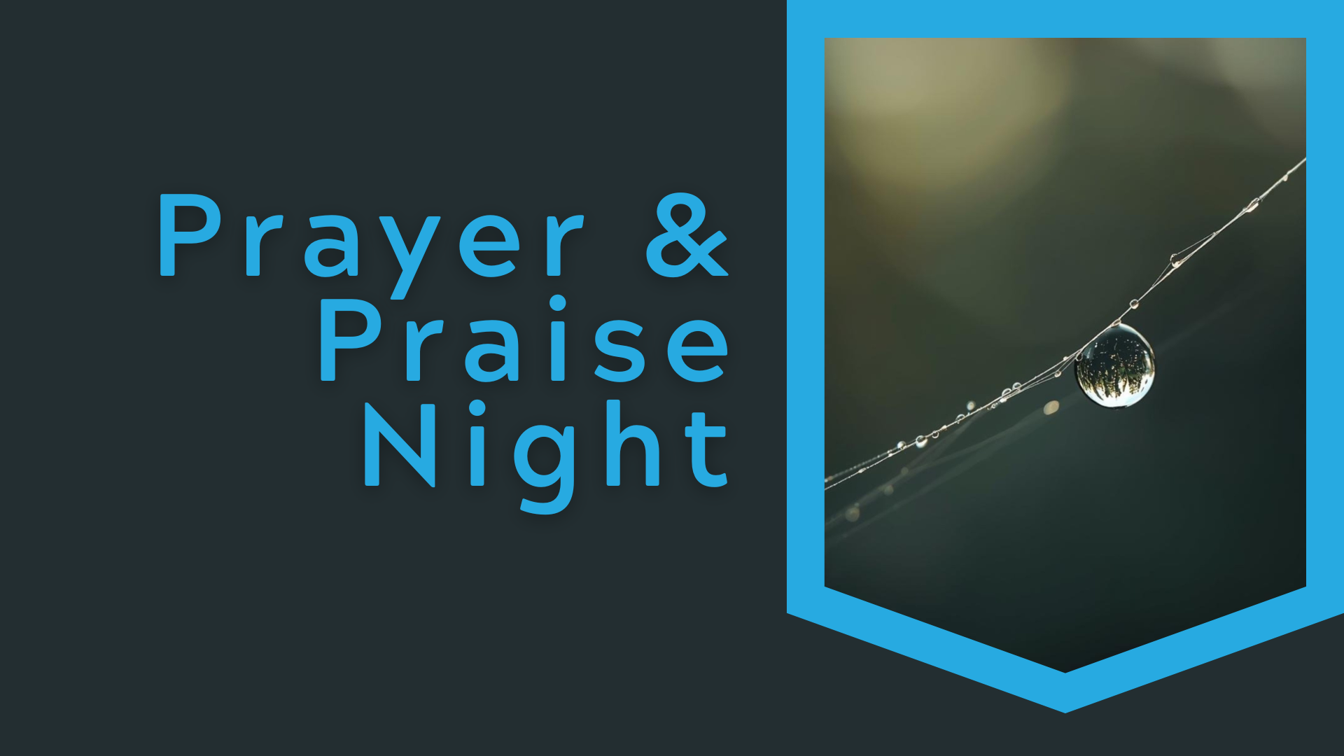The Devoted Life Prayer &amp; Praise Night