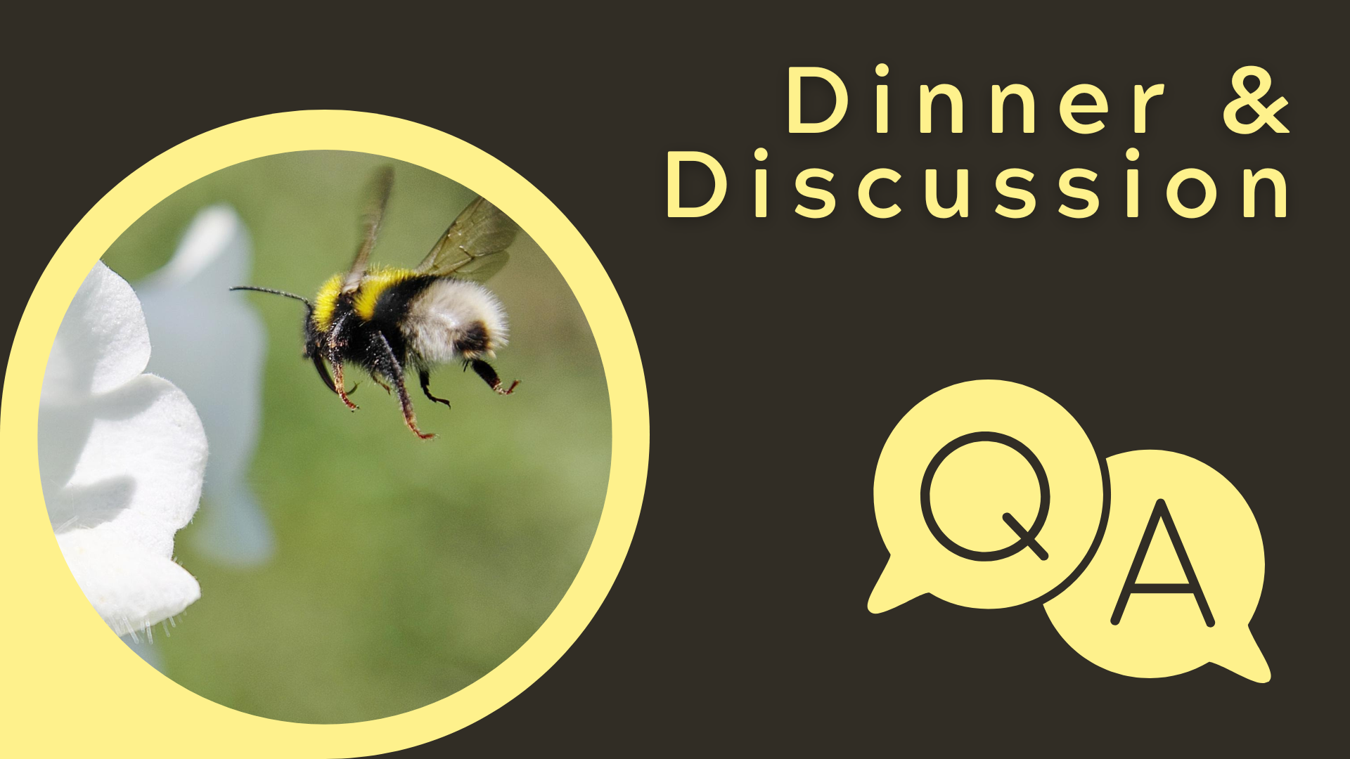 The Devoted Life Dinner &amp; Discussion