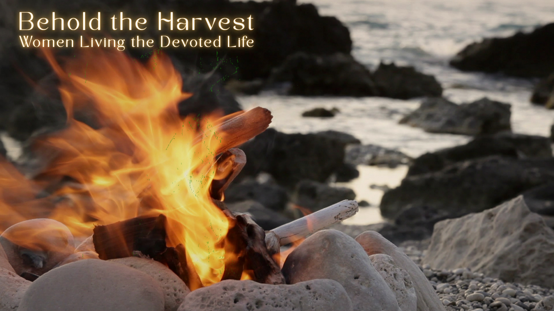 Behold the Harvest!