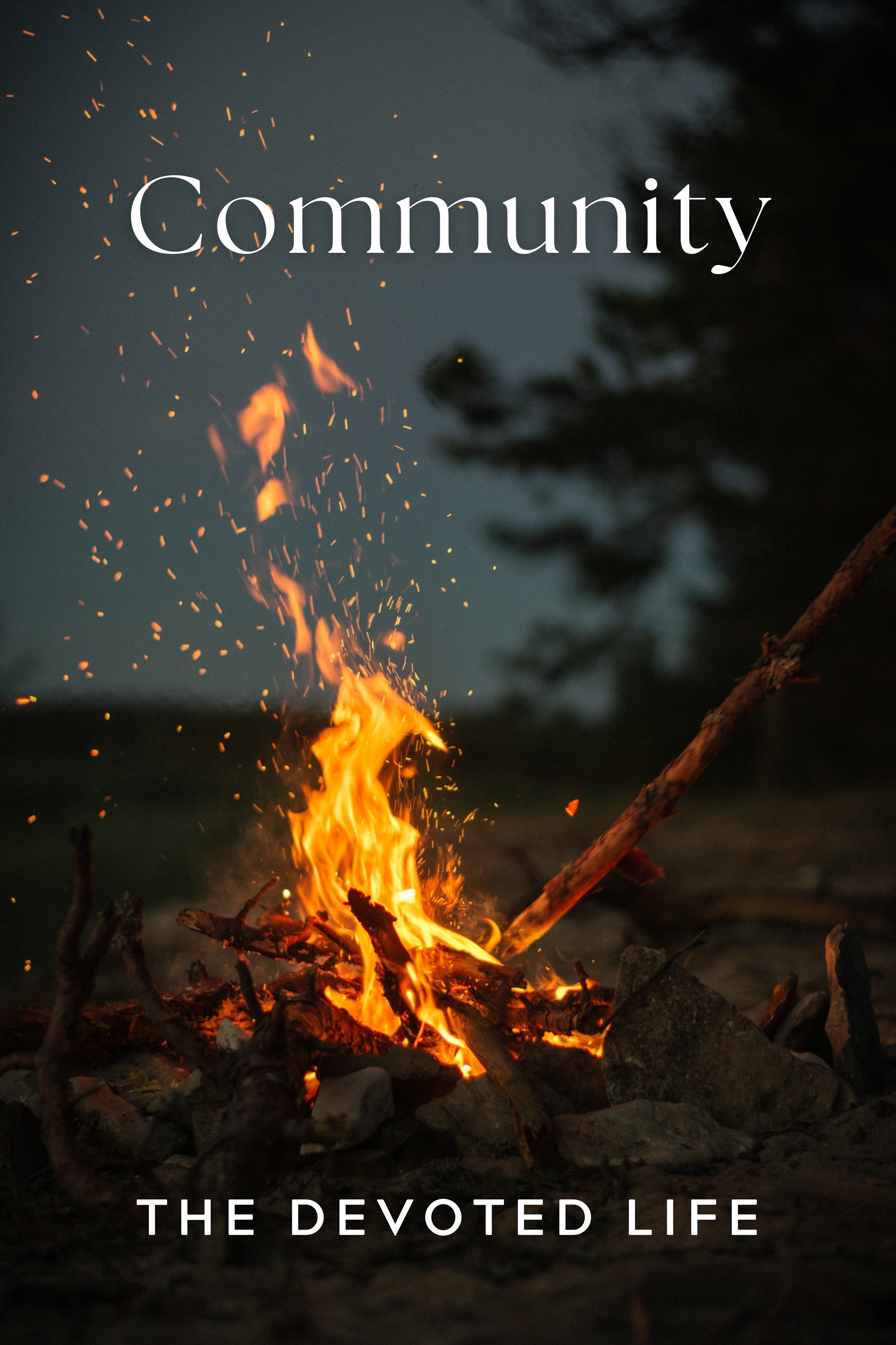 Community Banner.png