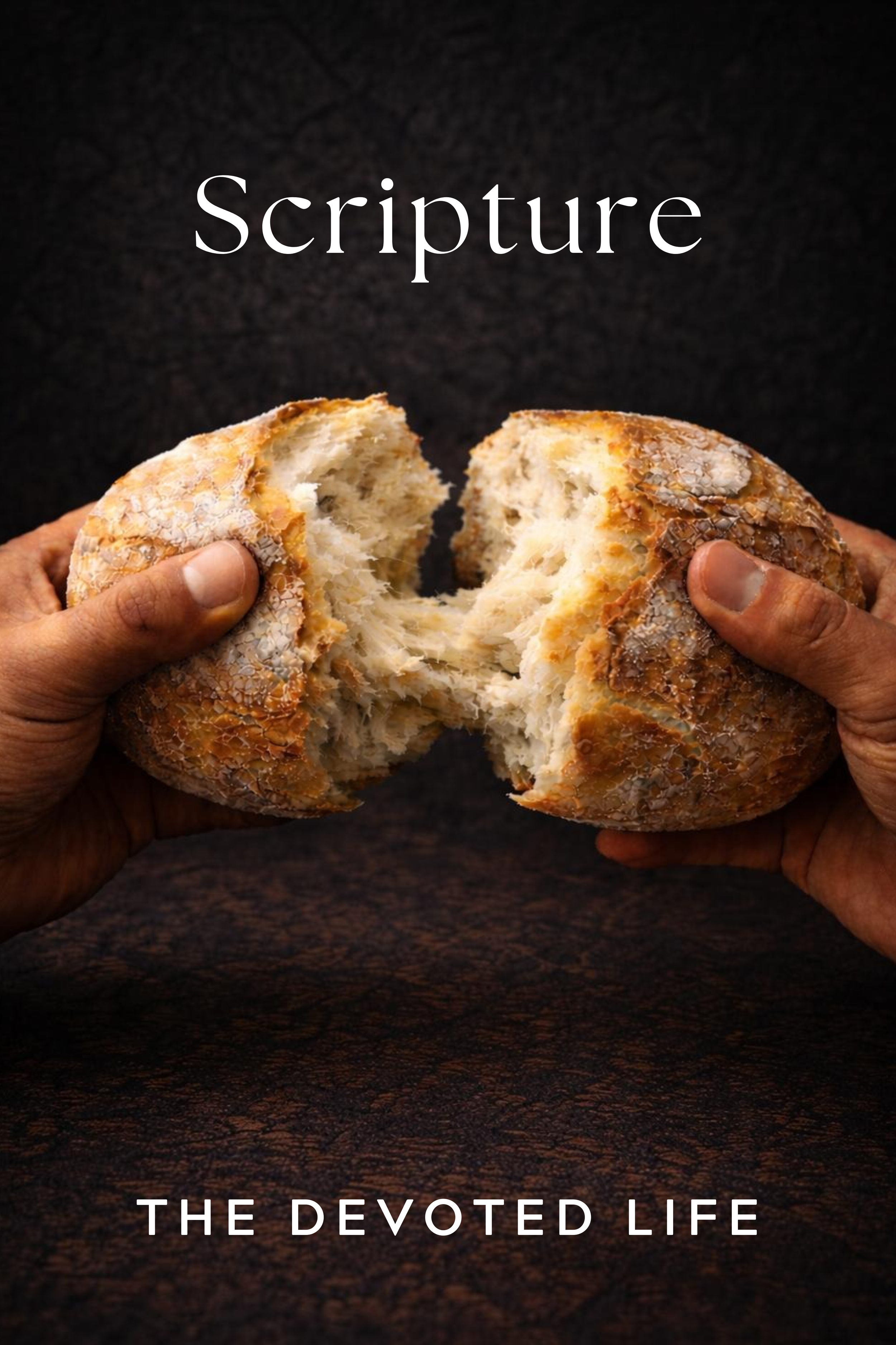 Scripture Banner.png