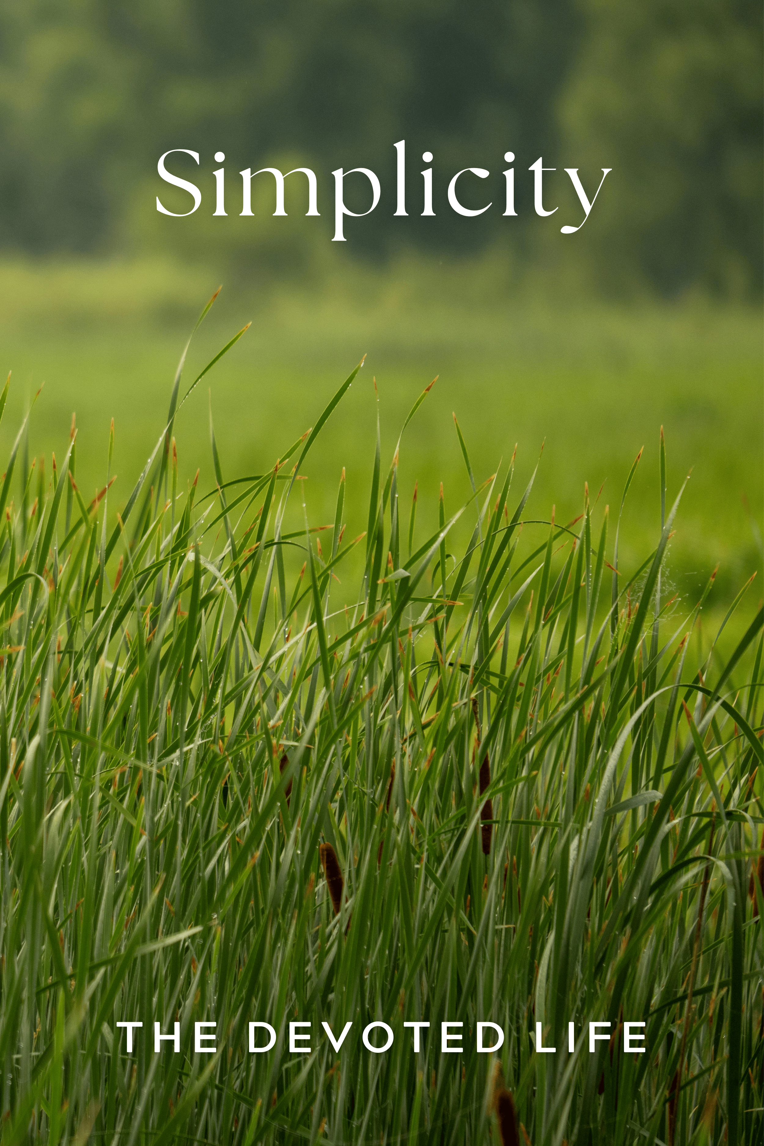 Simplicity web smaller.png