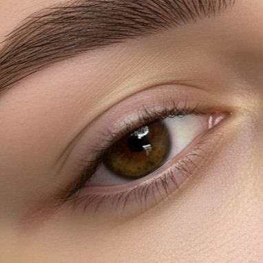 Lash Line Enhancement