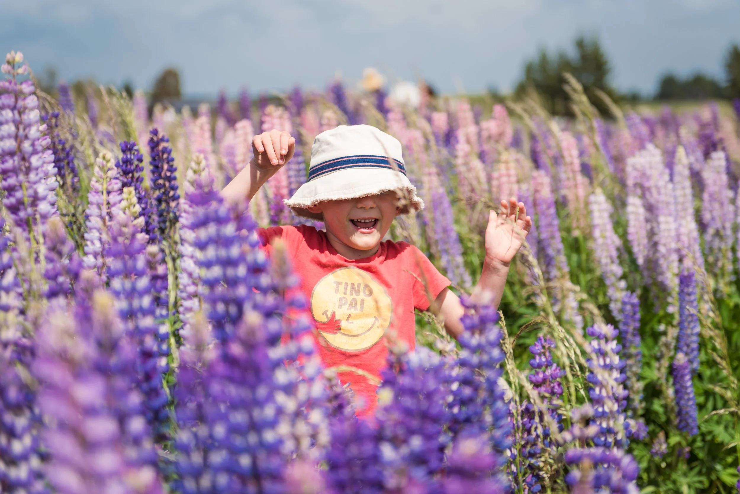 Lupins-081.jpg
