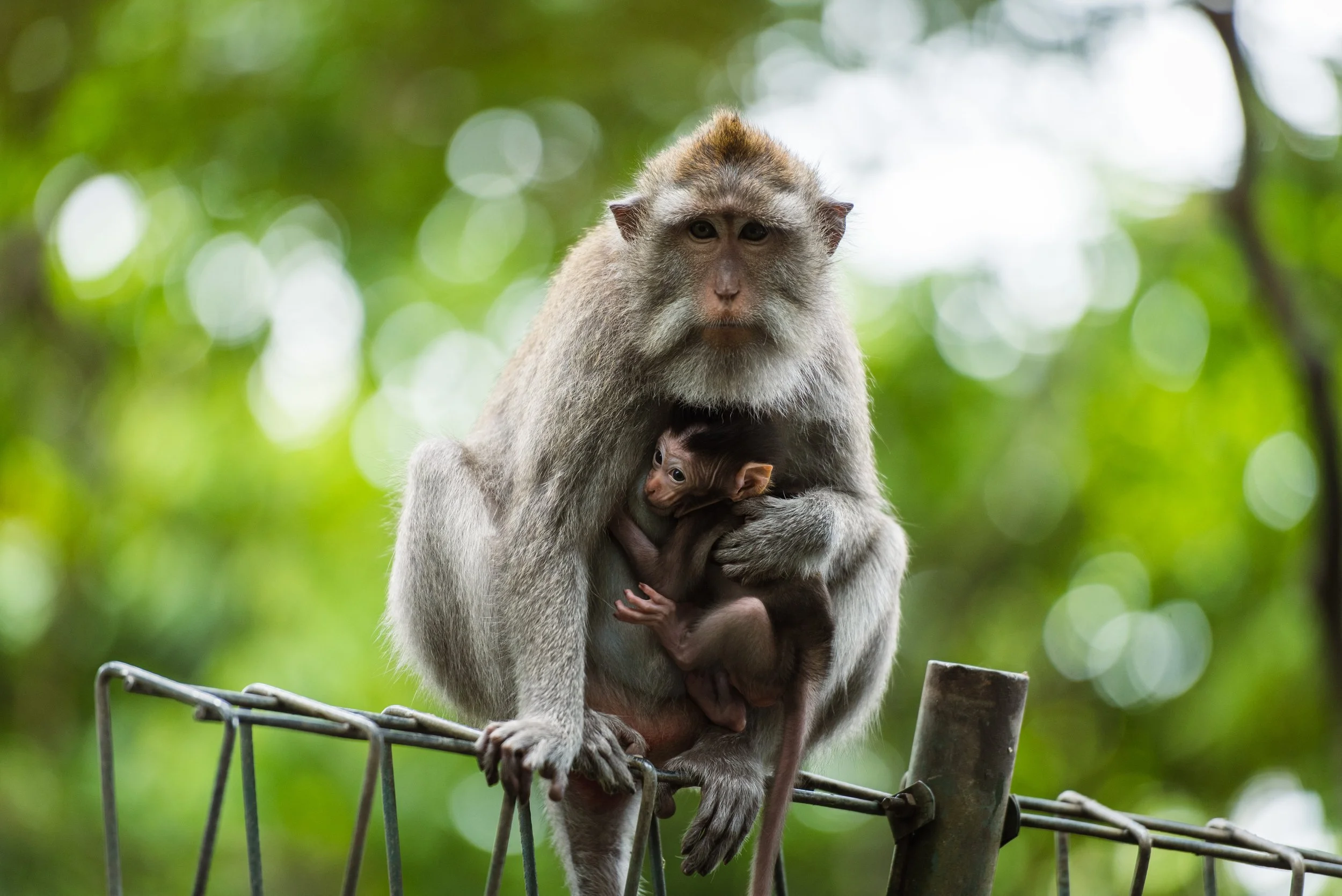 Bali - A learning experience