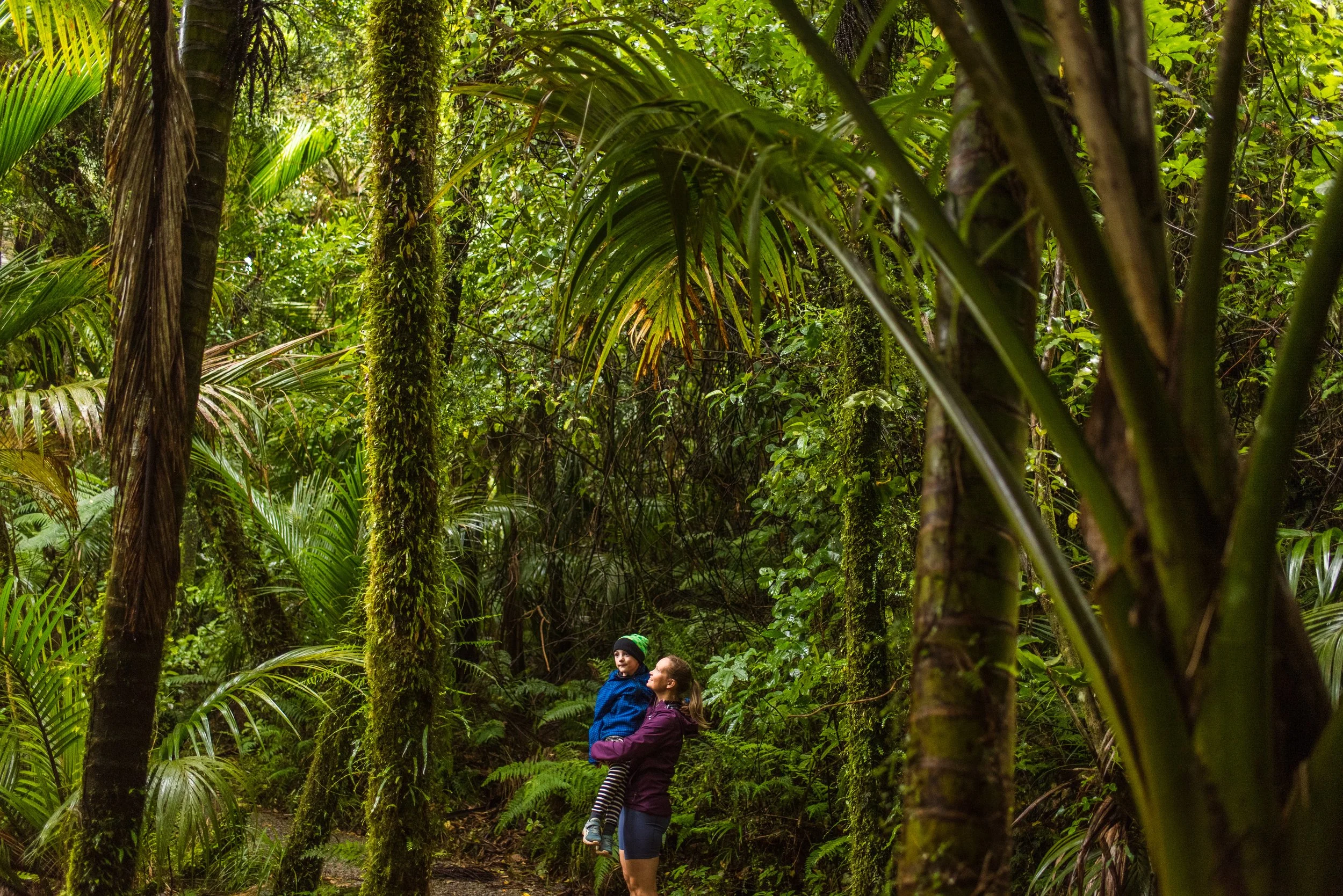 What is a Multipotenialite?