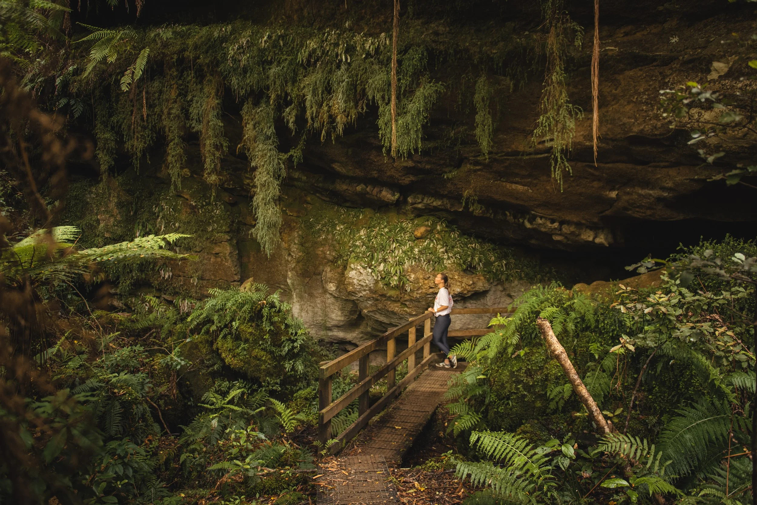 Exploring the upper west coast