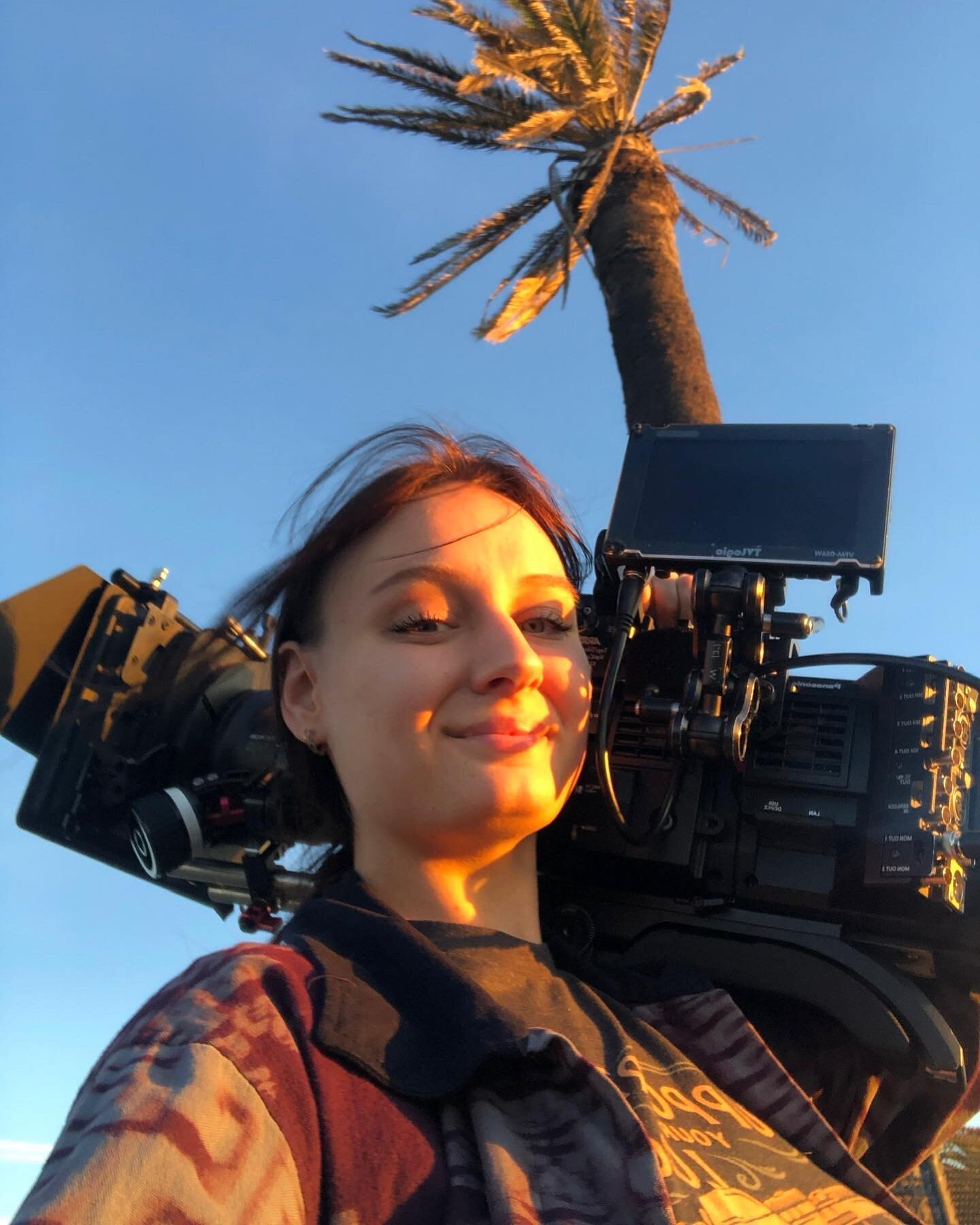 The palm tree is a paid actor
