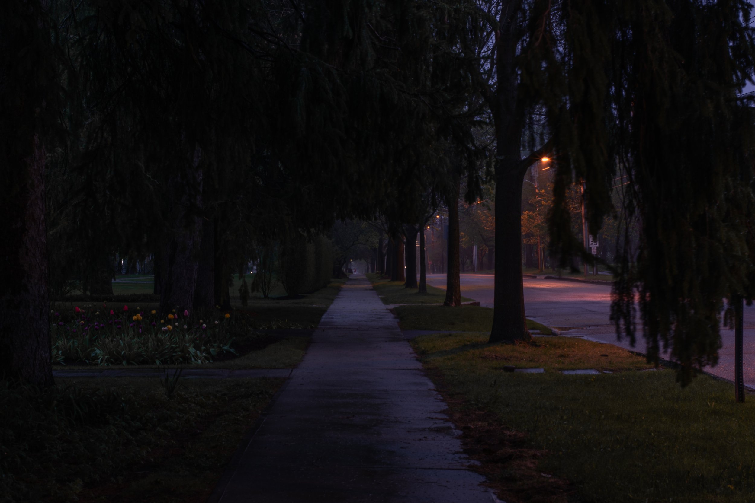 DSC_0982.jpg