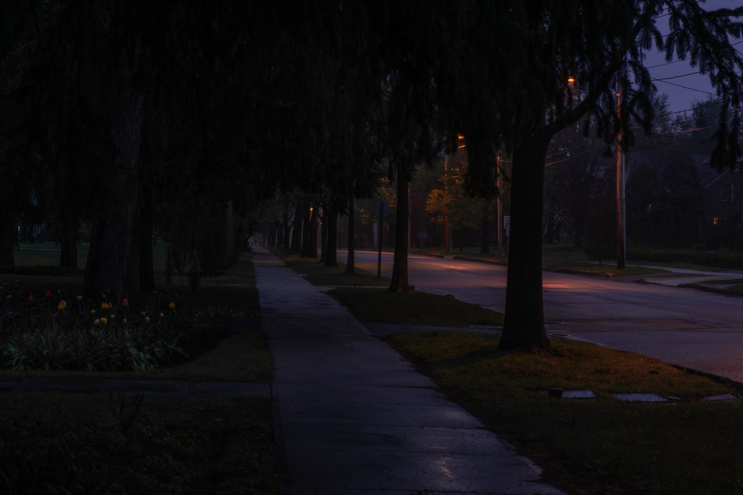DSC_0984.jpg