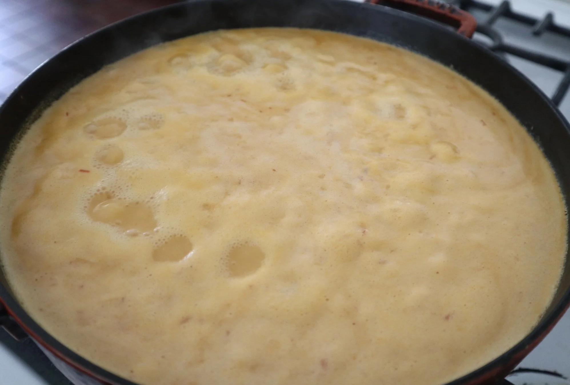 ChickPotatoCurry_Boiling.jpg