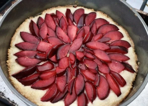PlumTartBaked1.jpg