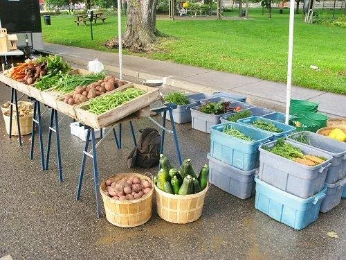 A sparse farmers market stand