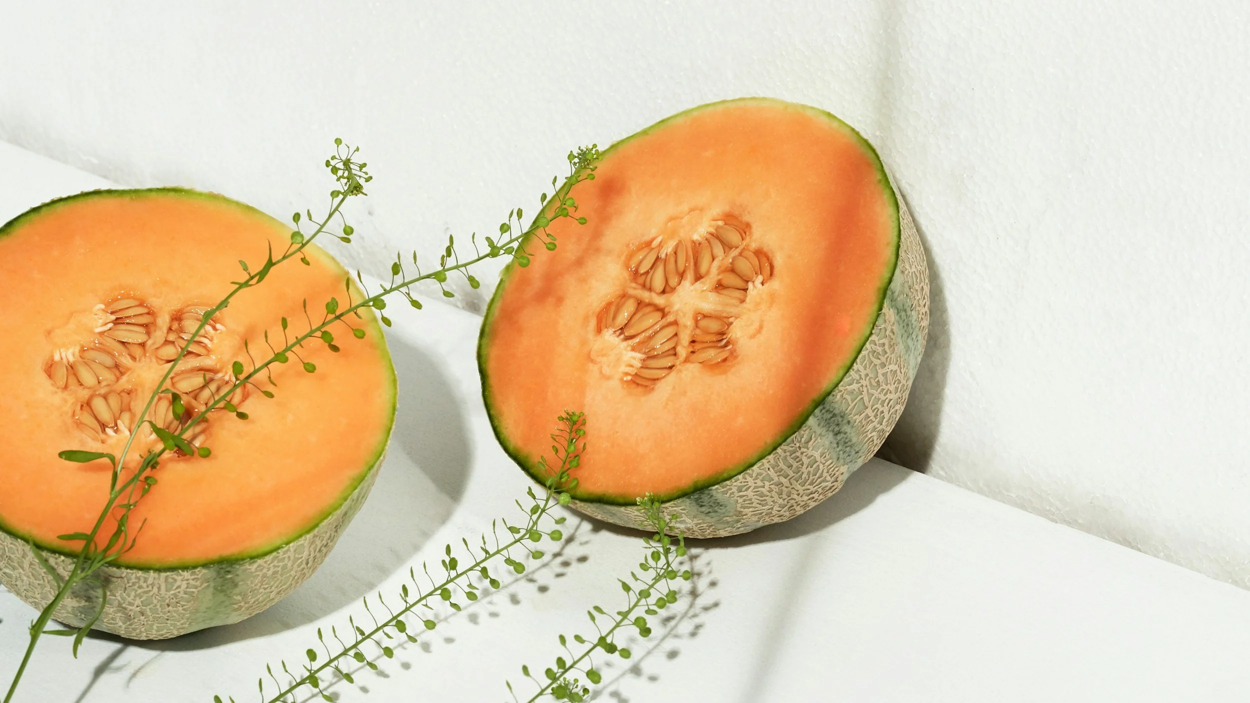Cantaloupe 