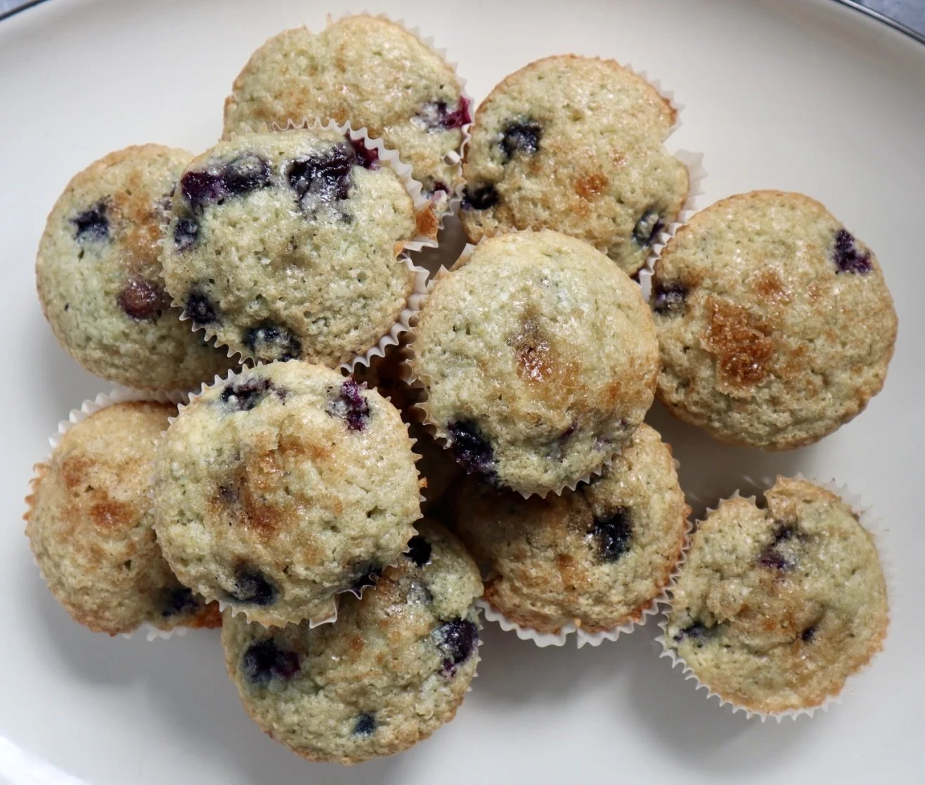 Blueberry Muffins