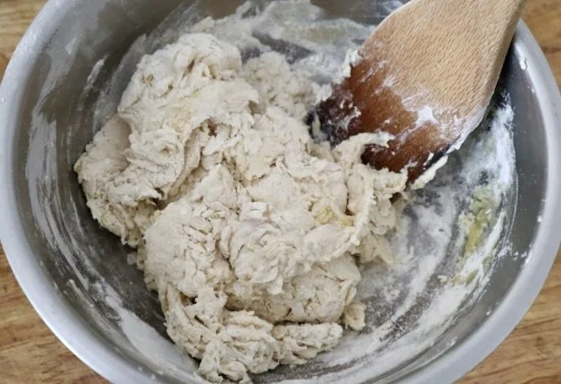 NaanShaggyDough.jpg