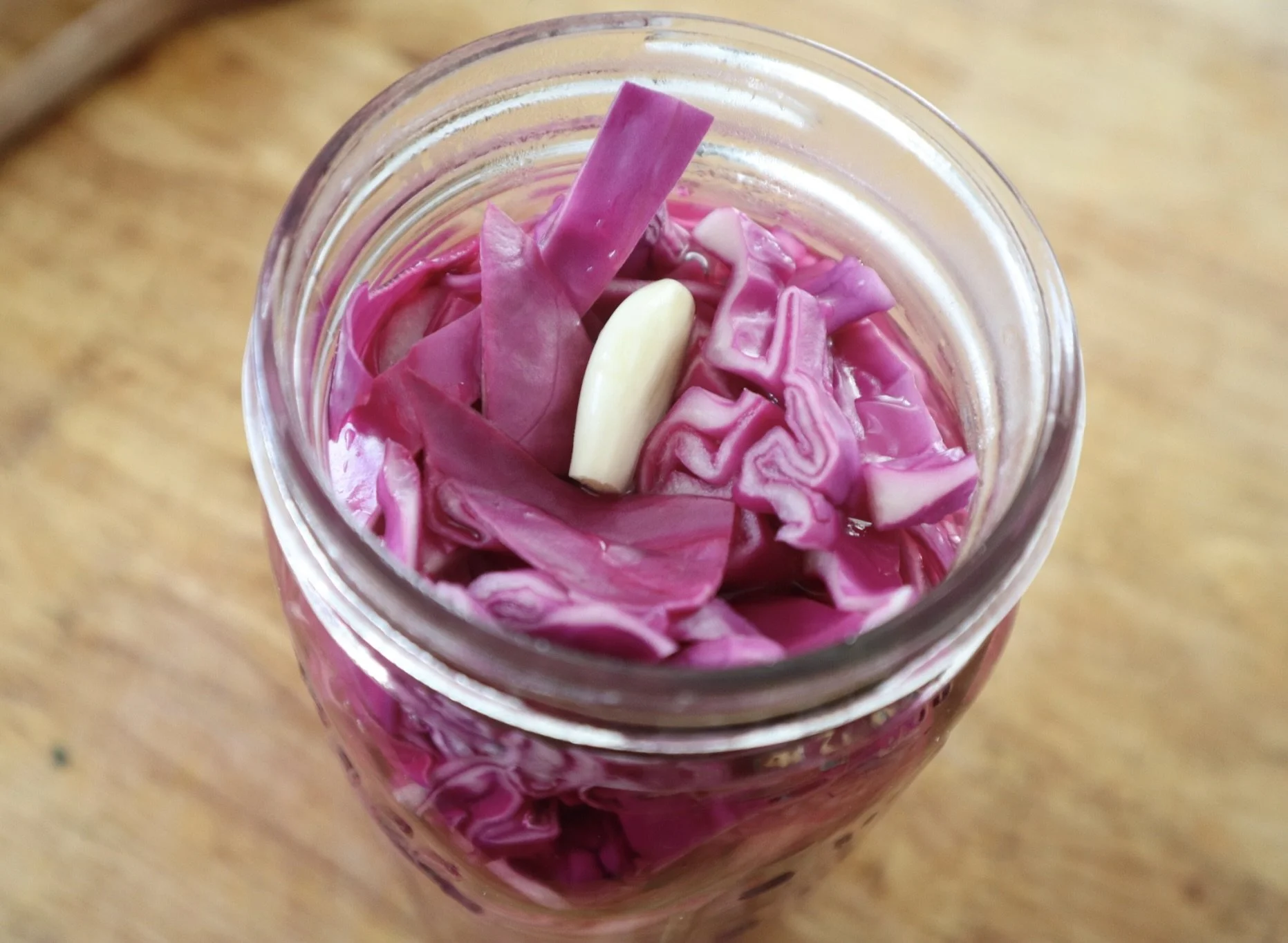 RedCabbage_InBrine2.jpg