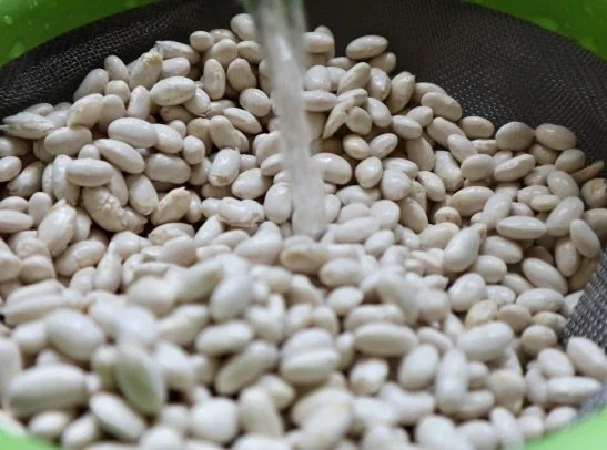 RinsingNavyBeans.jpg