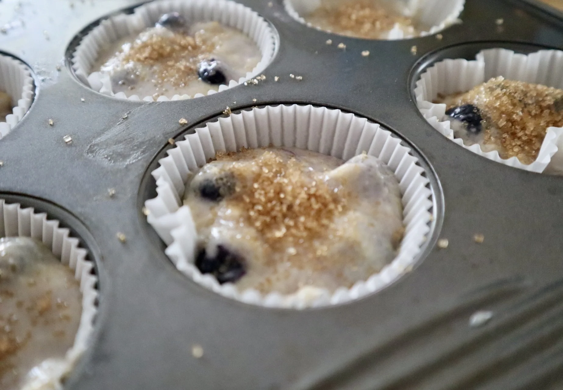 BlueberryMuffins_SugaronTop.jpg