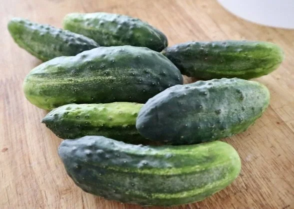 KirbyCucumbers.jpg