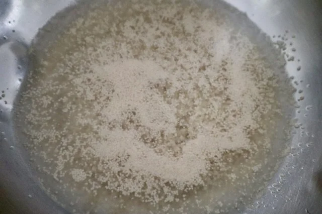 NaanYeast.jpg