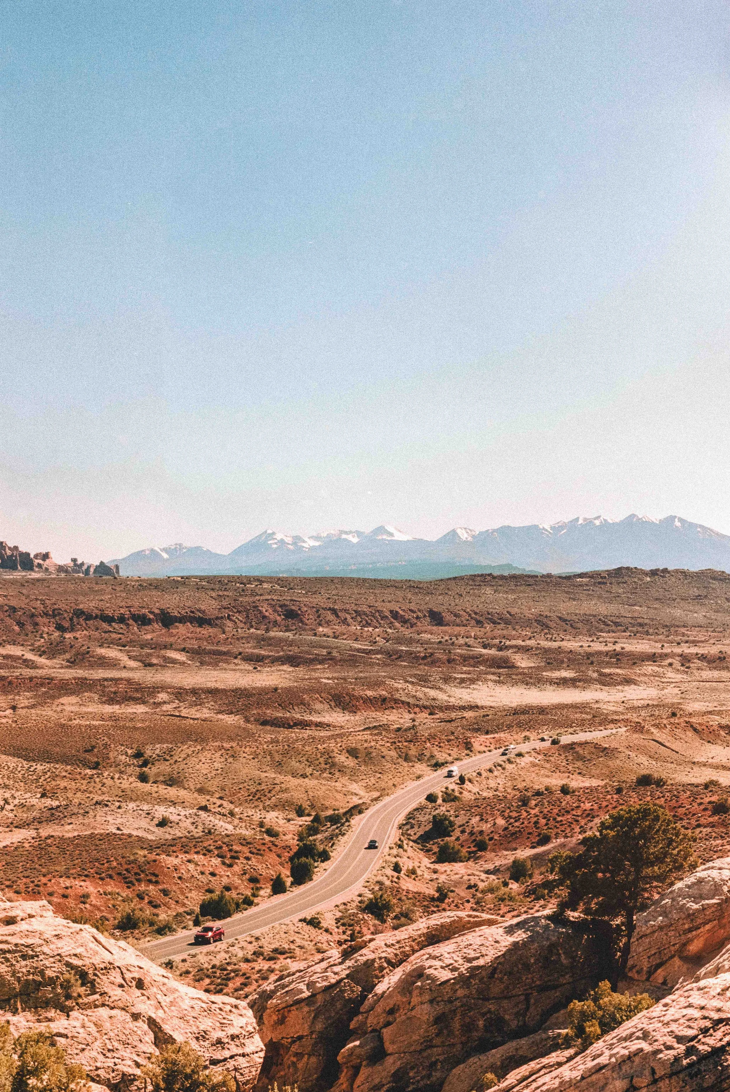 desert+gallery-47.jpg