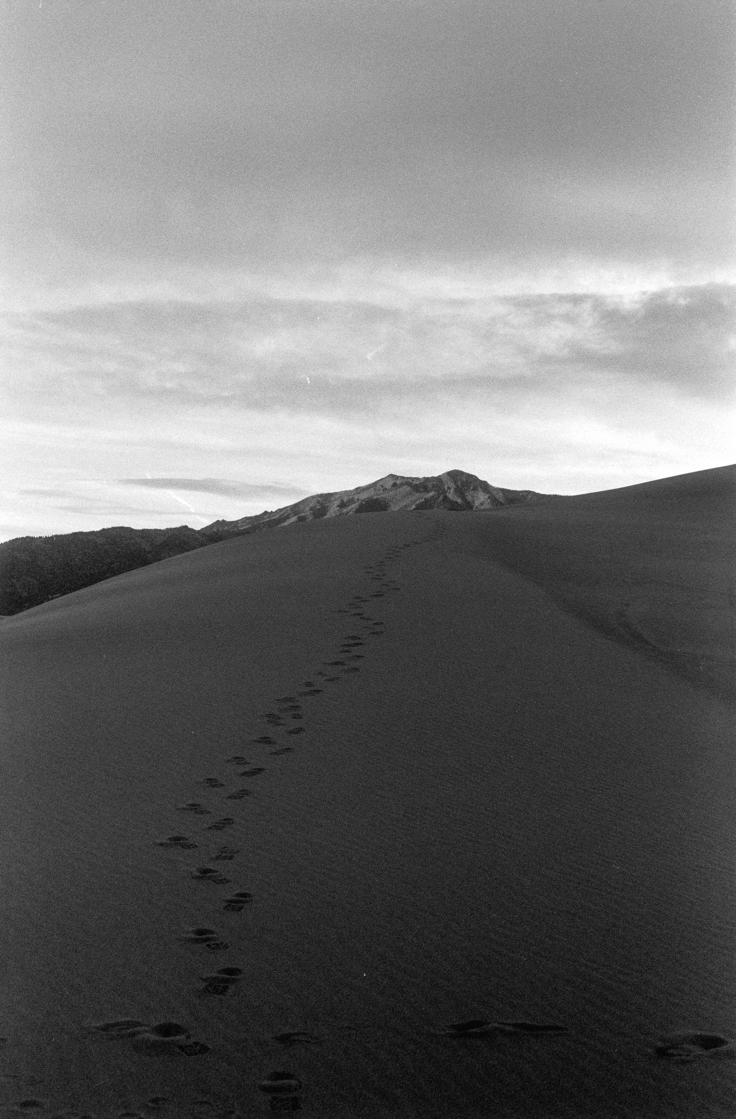desert+gallery-22.jpg