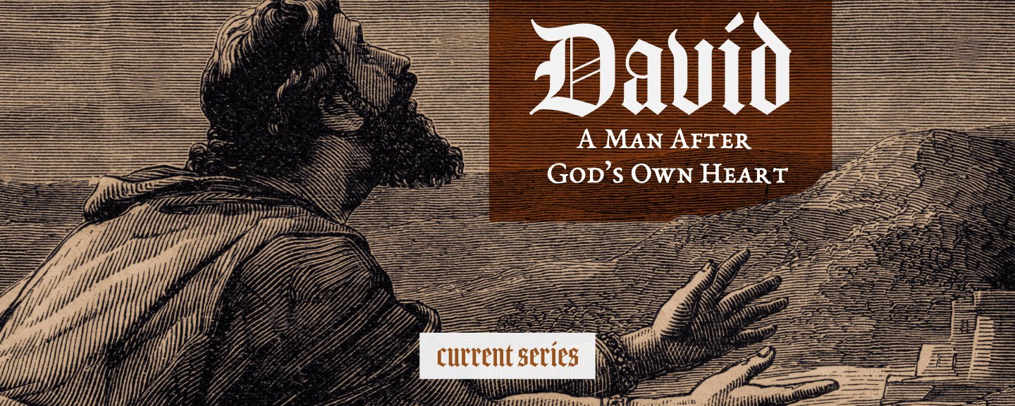 David_web.jpg