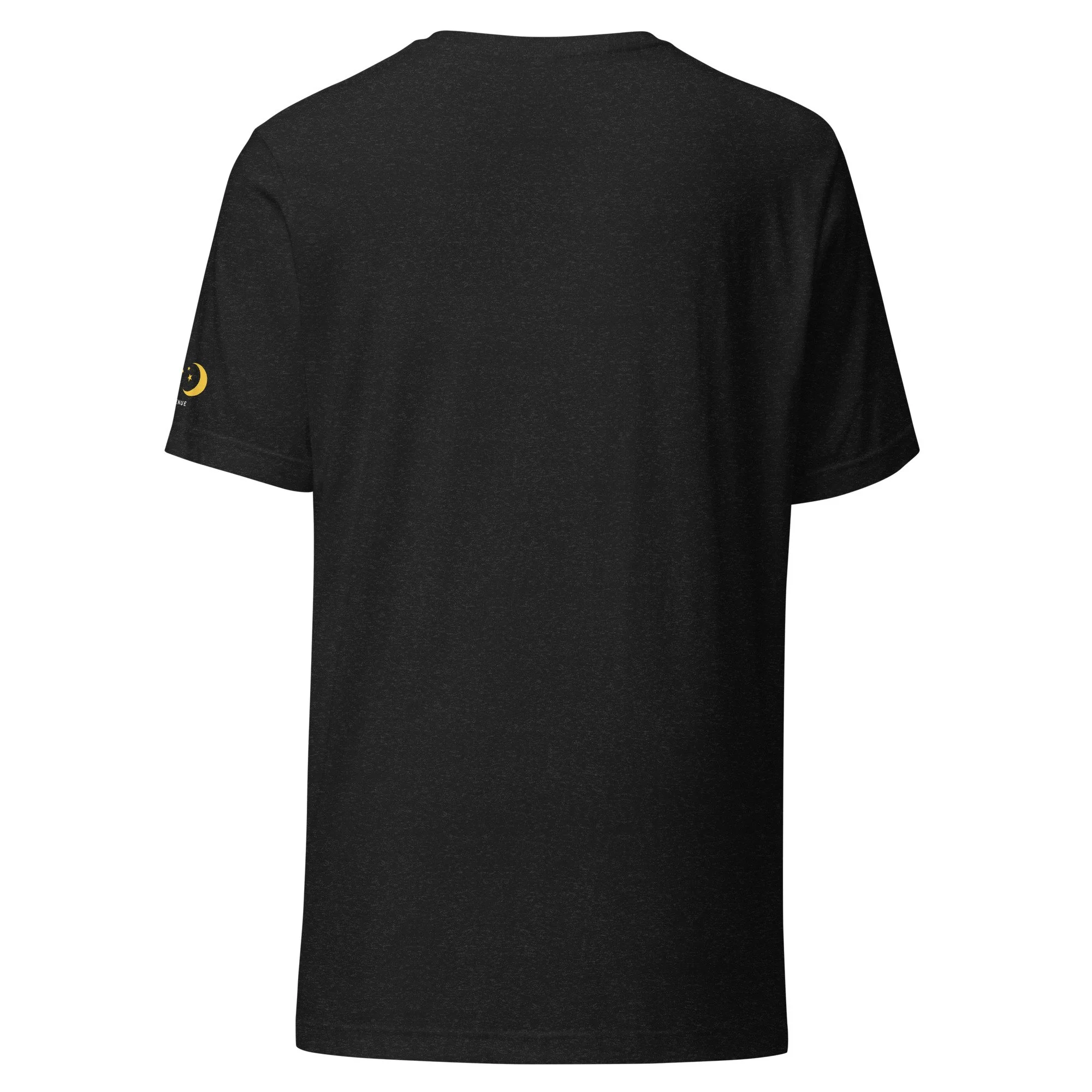 unisex-staple-t-shirt-black-heather-back-6aa97341dd5a8.jpg