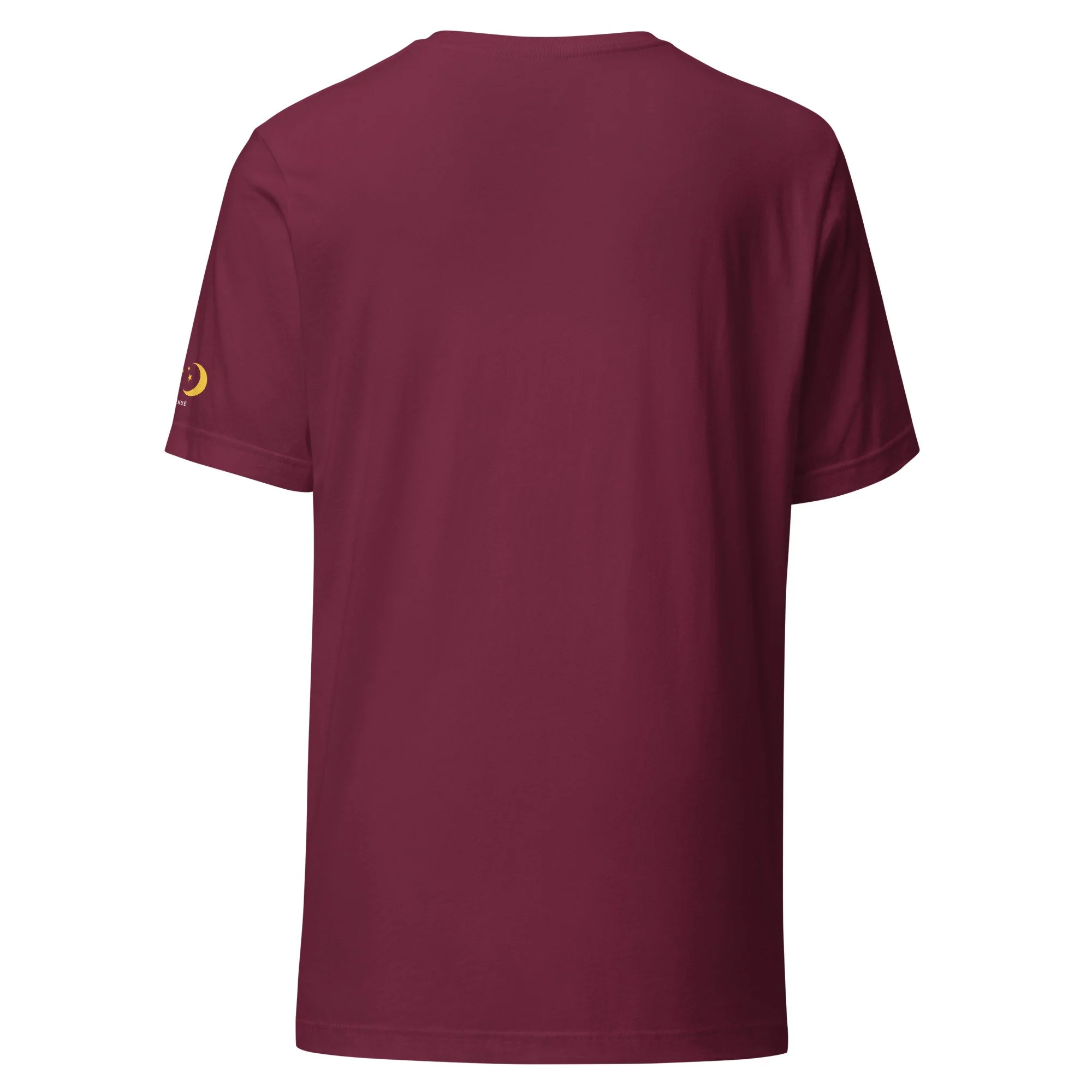 unisex-staple-t-shirt-maroon-back-6aa97341dd700.jpg