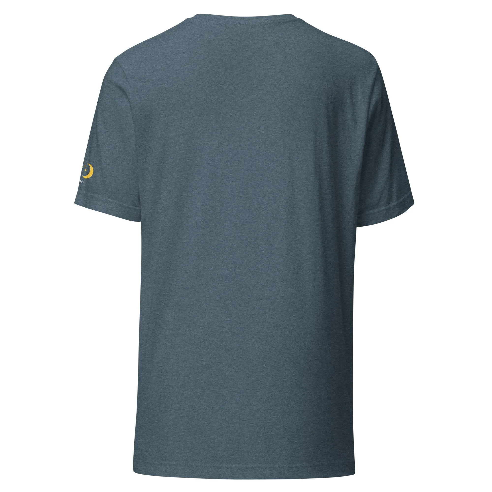 unisex-staple-t-shirt-heather-slate-back-6aa97341dd689.jpg