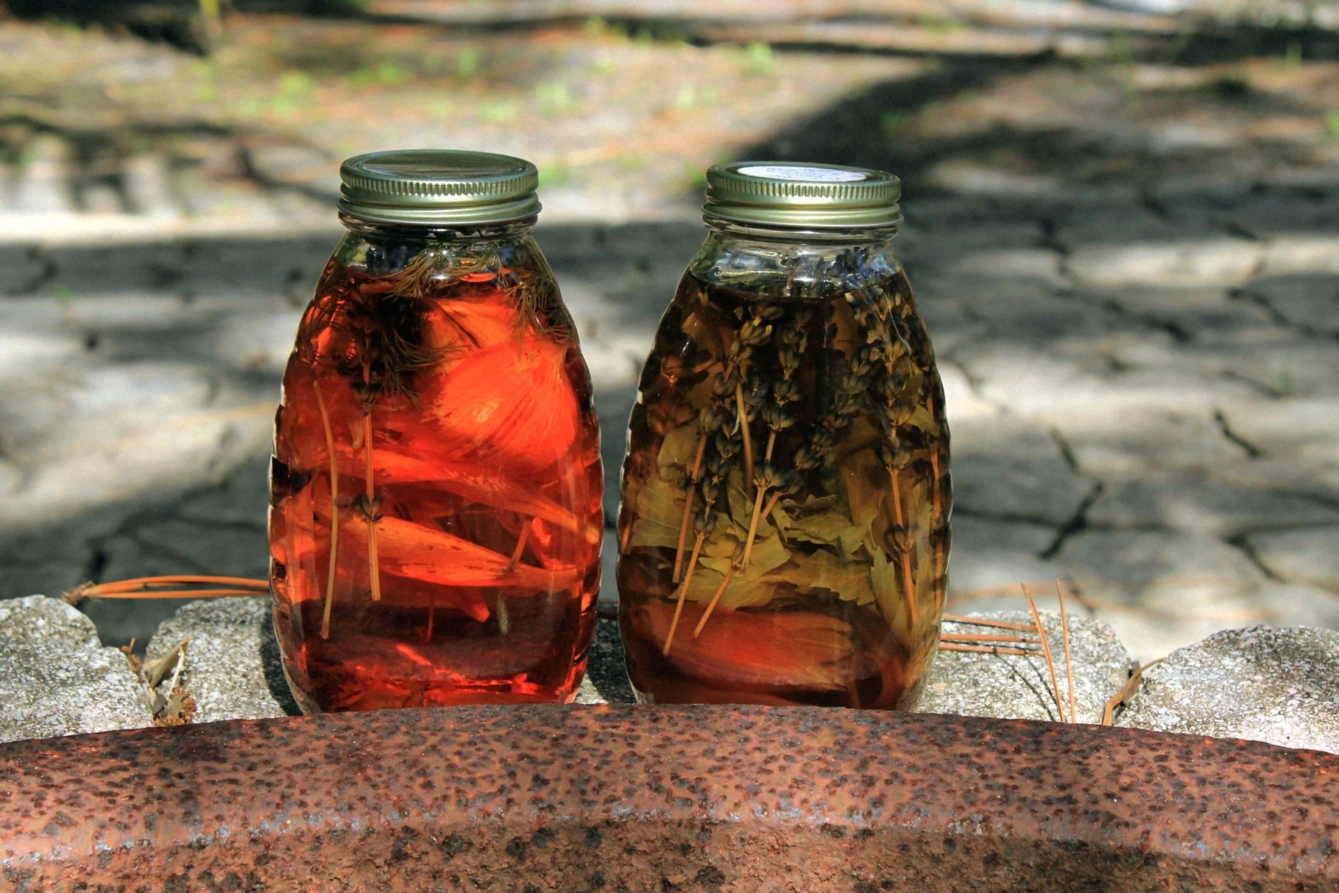 The Green Hearth Witch The Magical Properties of Florida Water