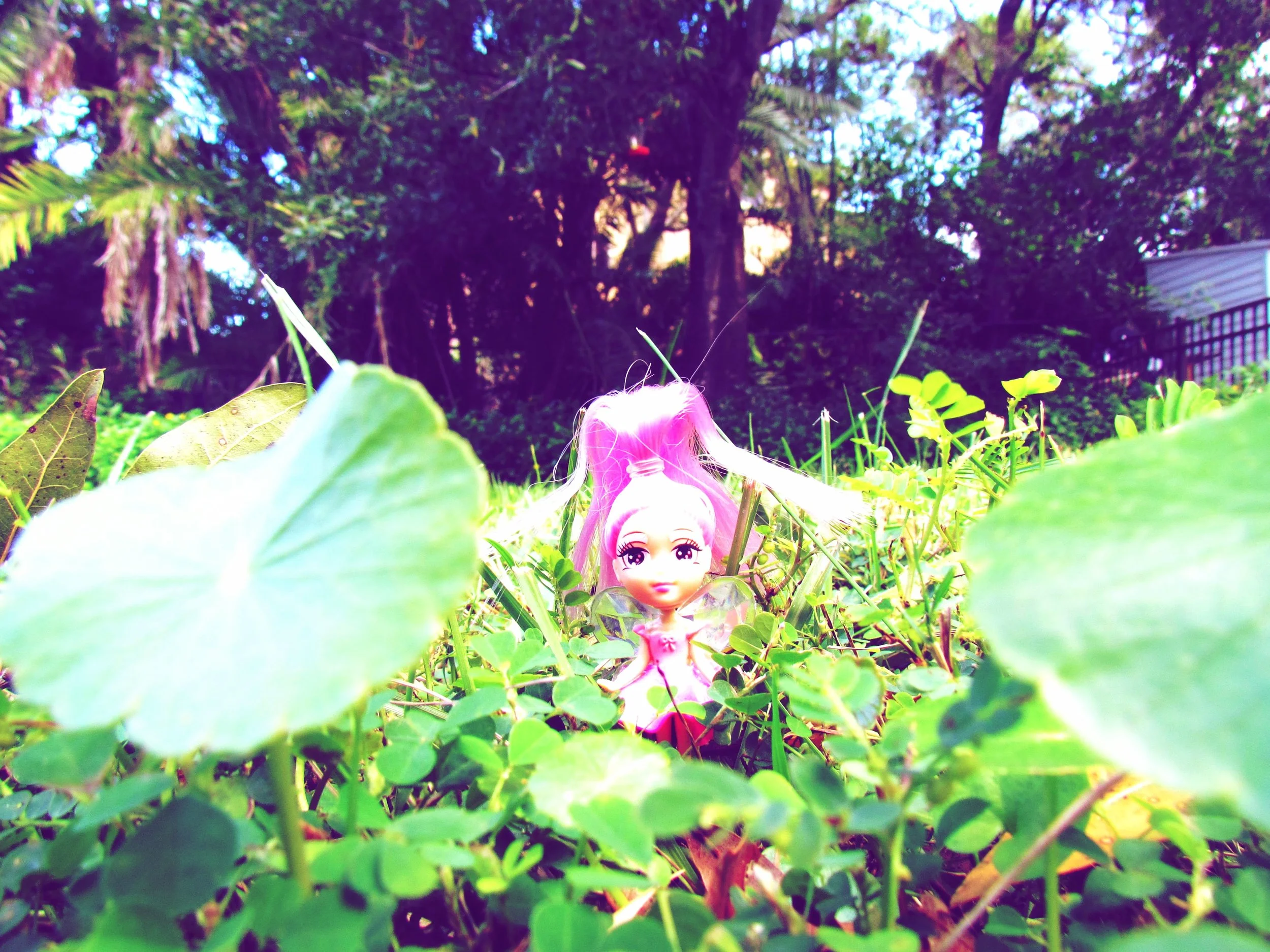 pink fairy toy hidden in green grass and clovers in the backyard
