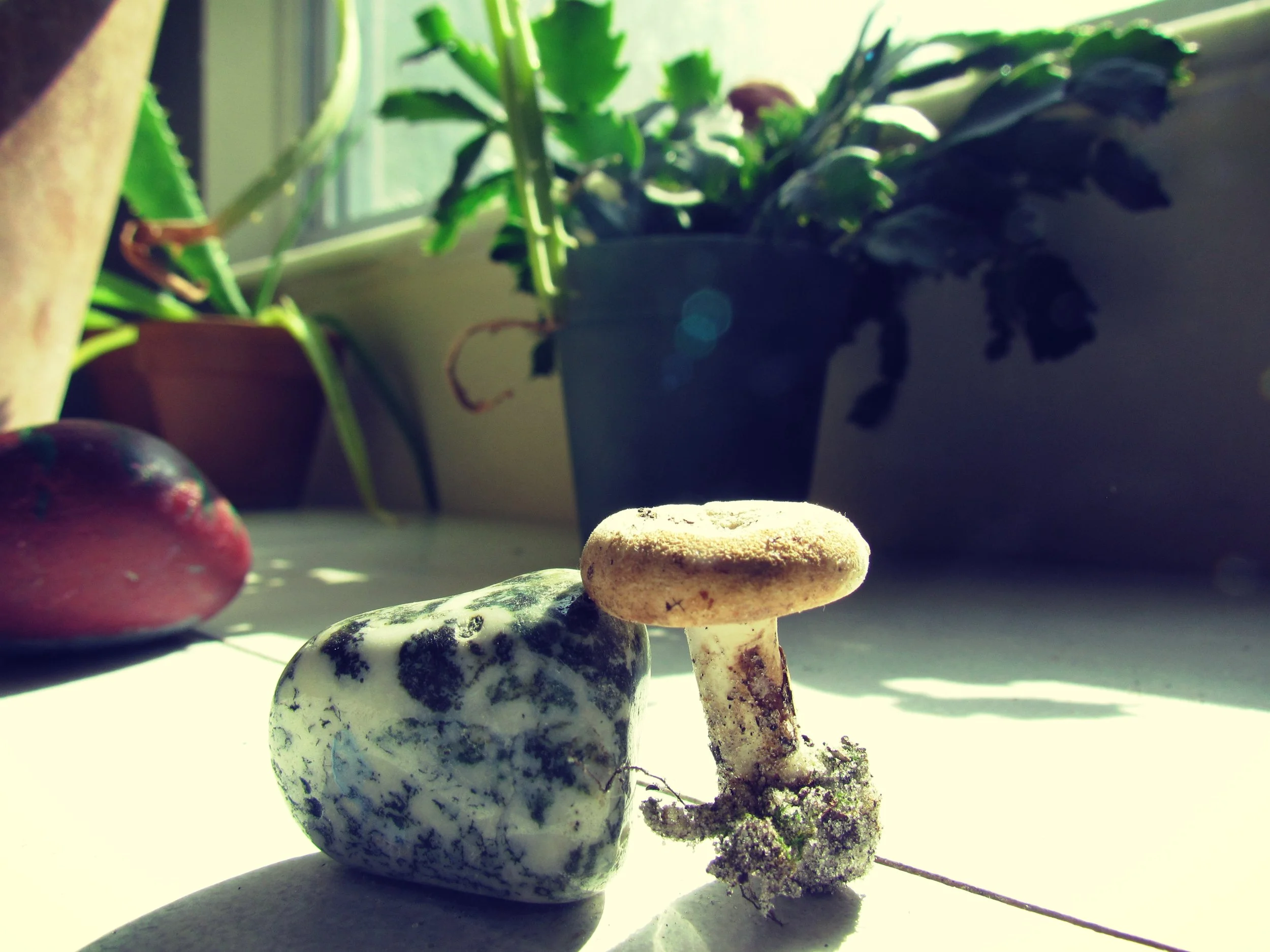 The Green Hearth Witch Warmth and Comfort Witchcraft for Witchy Wellness and Self-Care