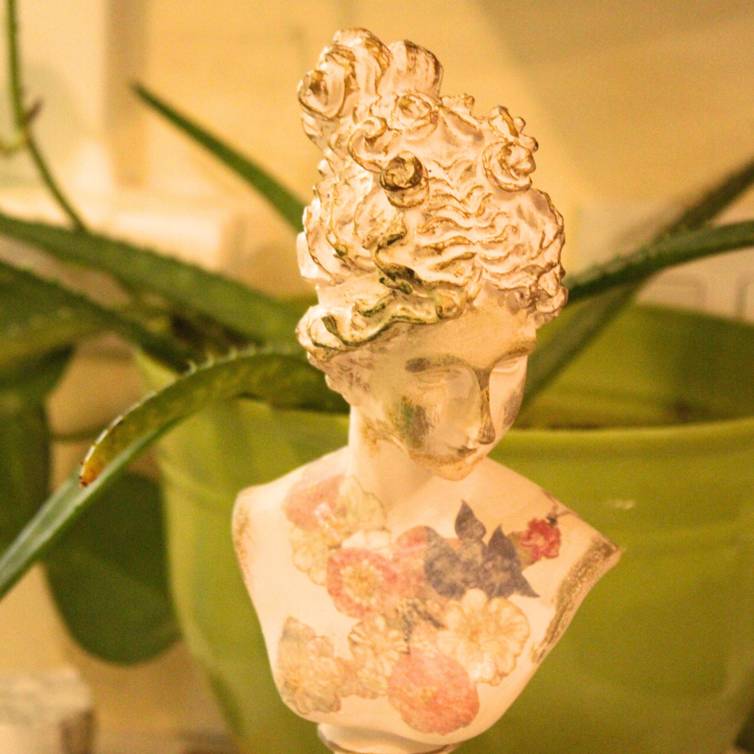 aloe vera plant and fortuna luck statue