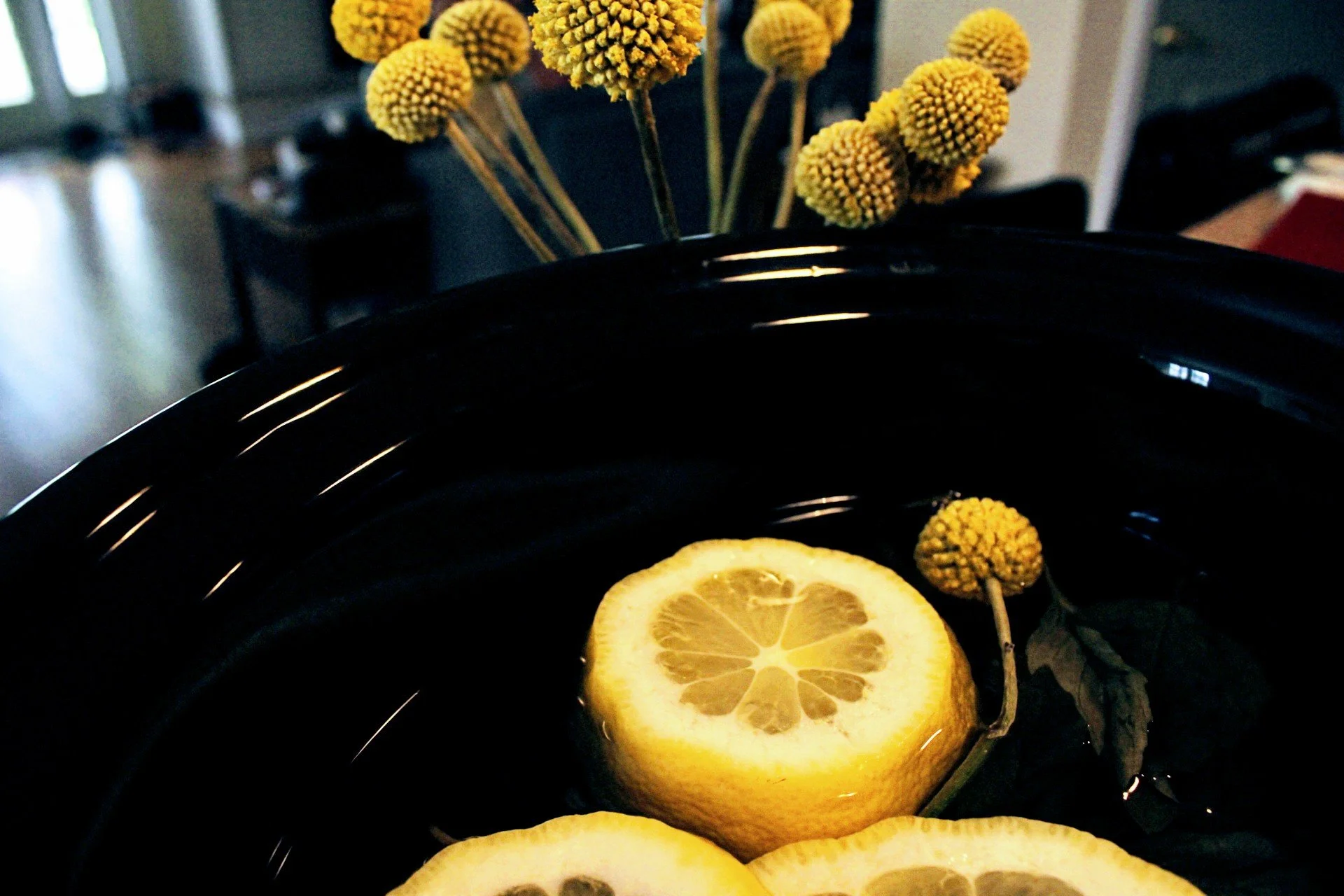 The Green Hearth Witch DIY Intention Simmer Pots for the Witchy Holiday Season