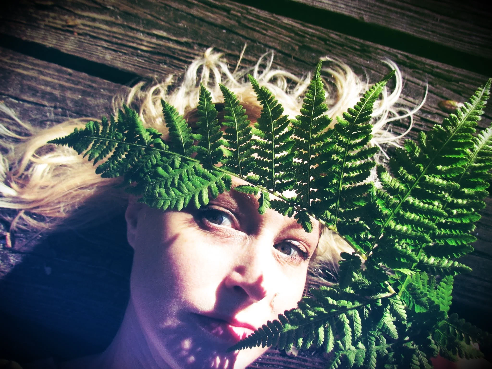 a green witch with sword ferns in the forest