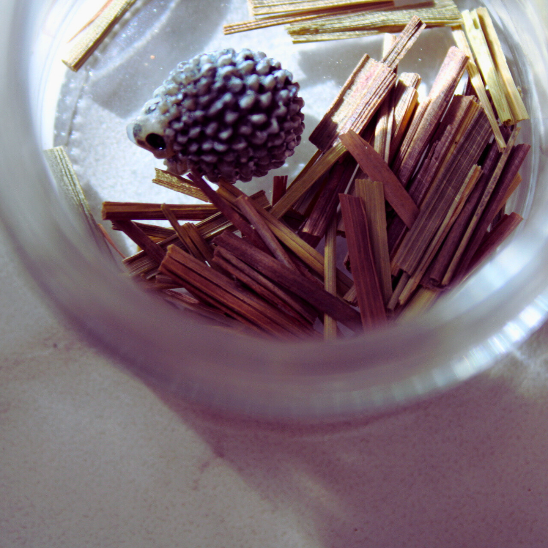 A bowl filled with lemongrass with a tiny hedgehog