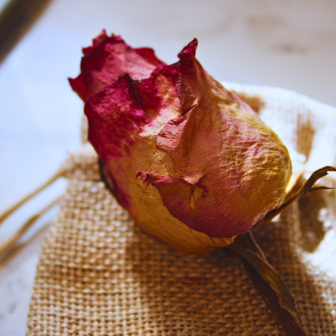 a dried red rose with a tiny burlap bag