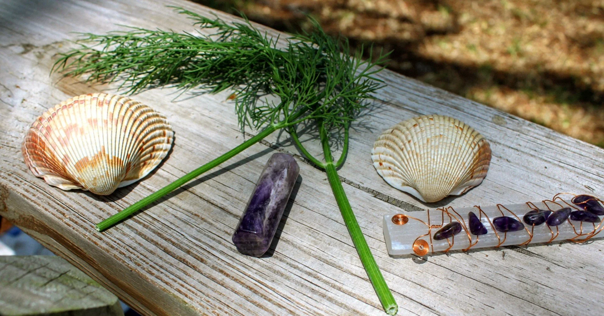 Fresh dill leaves, seashells, and a selenite crystal wand with amethyst
