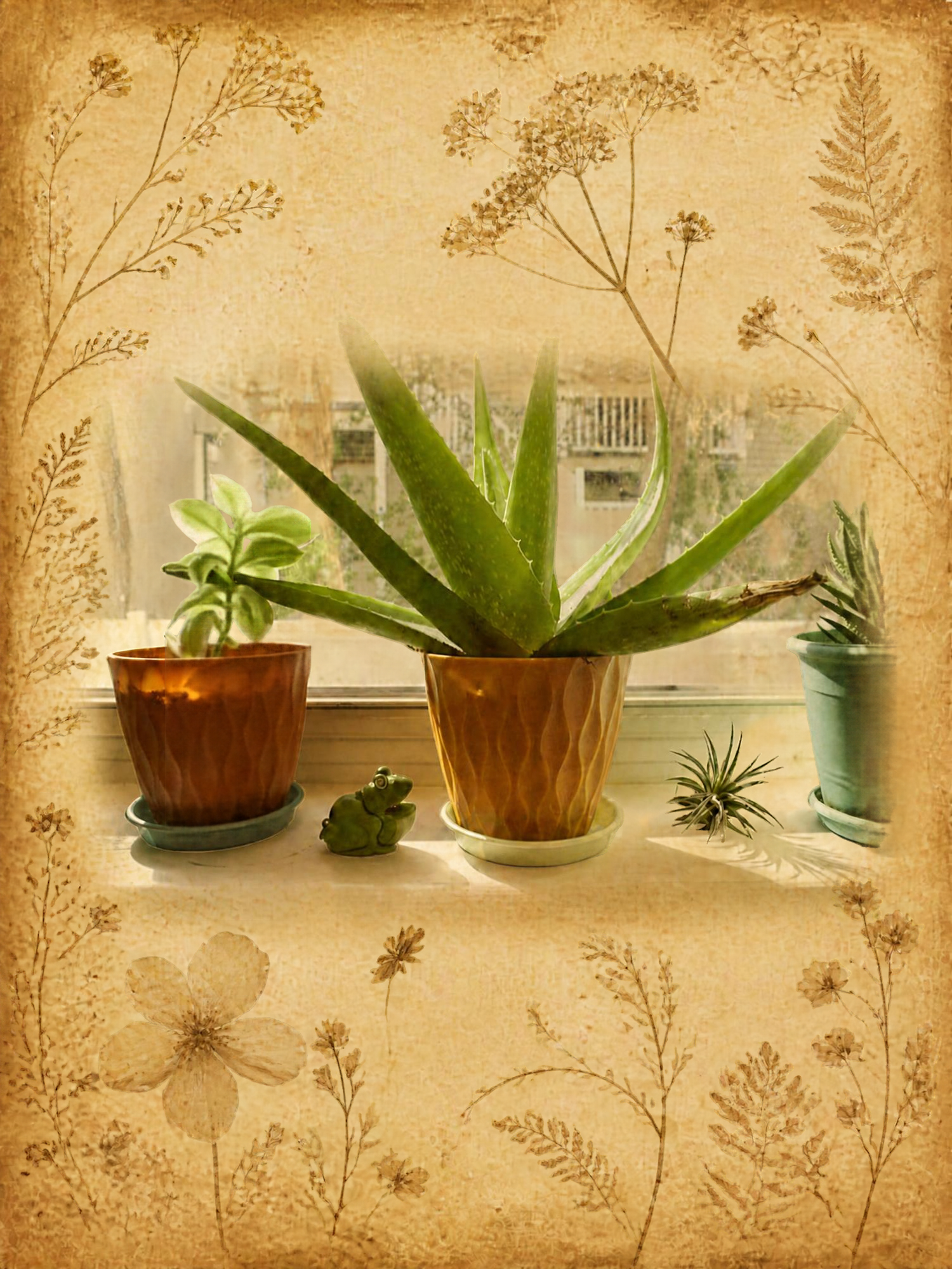 Vintage Botanical Photo Frame (4).png