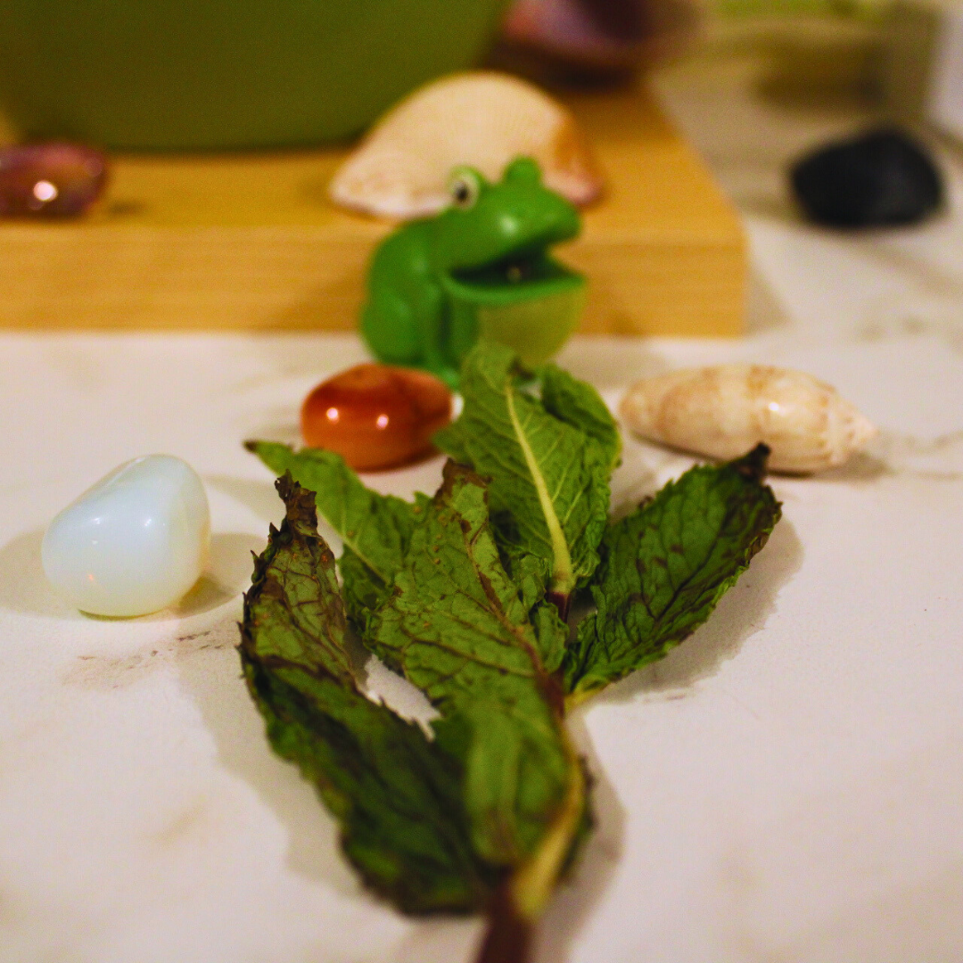 Fresh mint on the kitchen counter with a cute frog toy and colorful gemstones