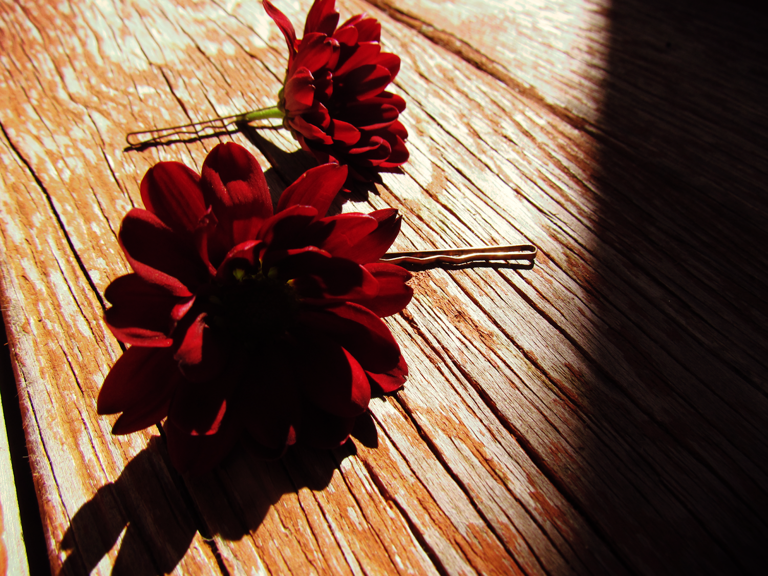 The Green Hearth Witch How to Enchant Nature-Inspired Accessories