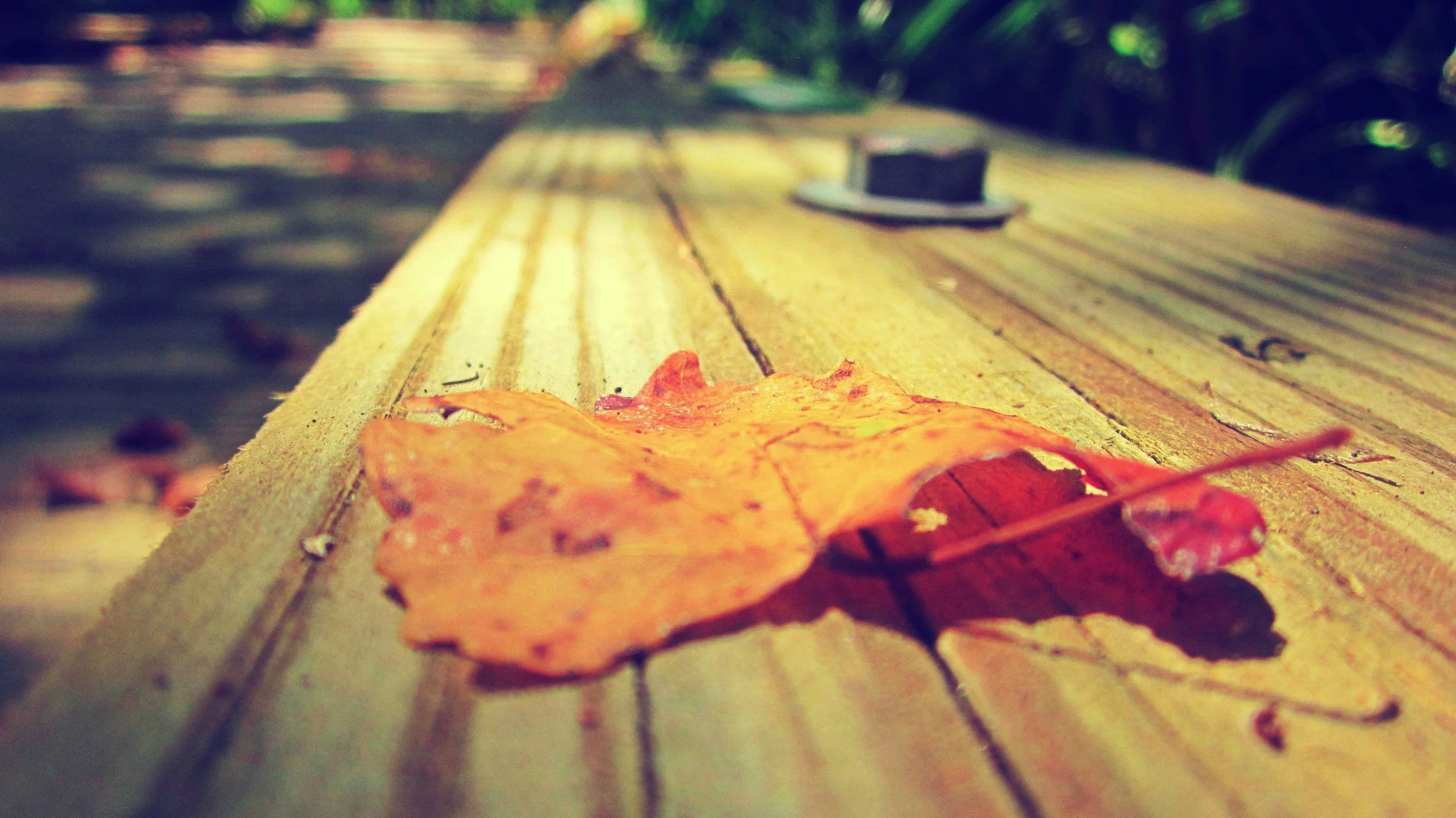 The Green Hearth Witch How to Be a Weather Witch