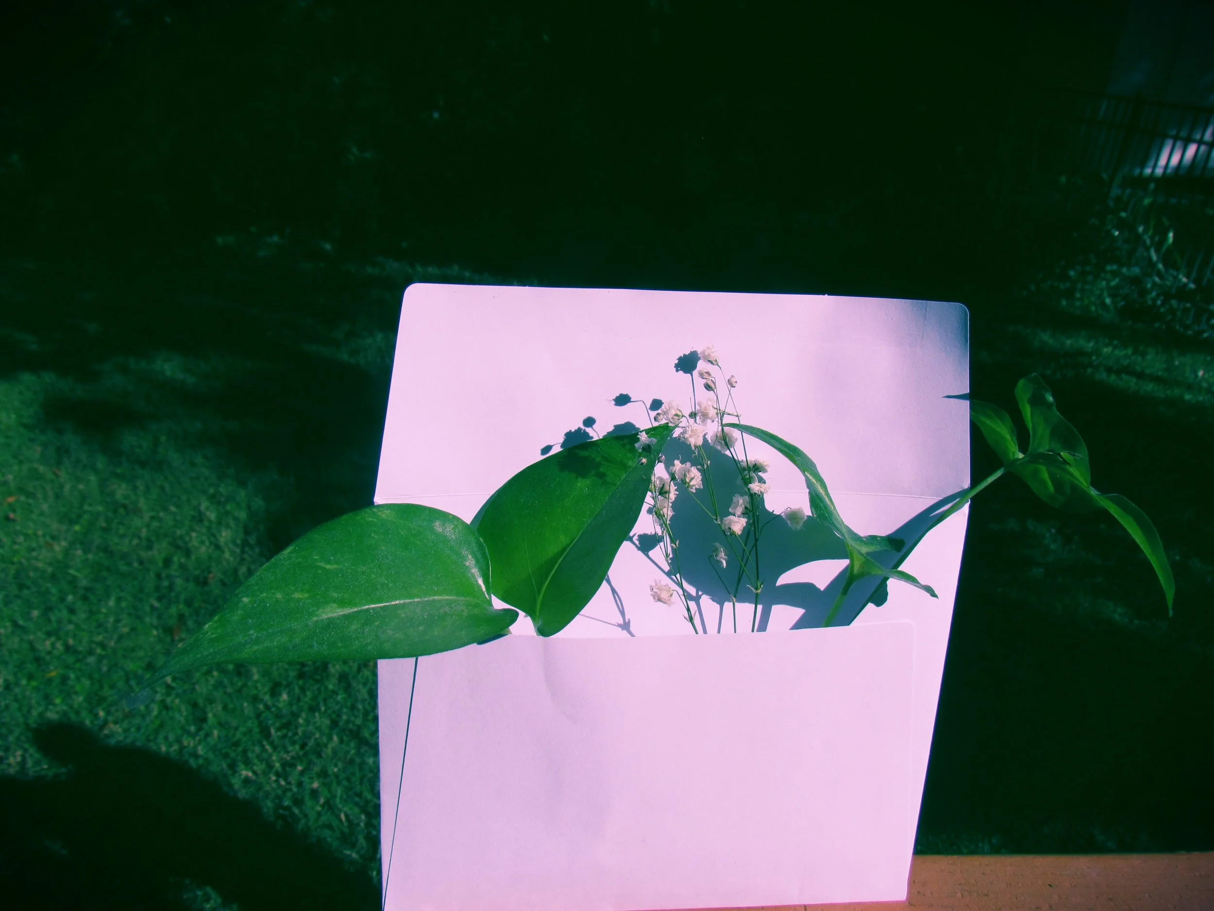 The Green Hearth Witch Nature In An Envelope Spells