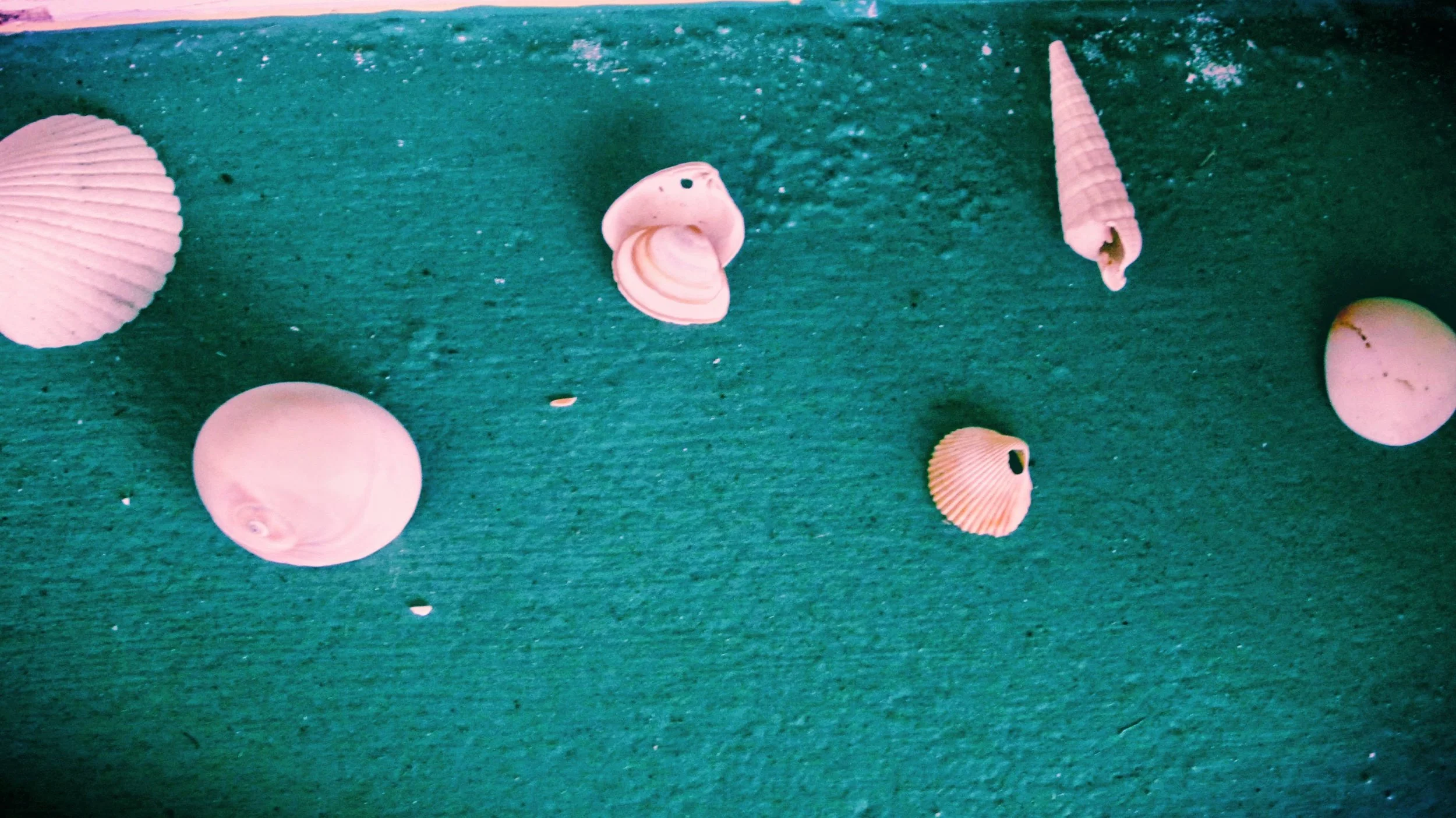Pink seashells on  a teal green windowsill in the summer heat