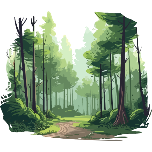 Deep, dark forest illustration heavily Wooded areas