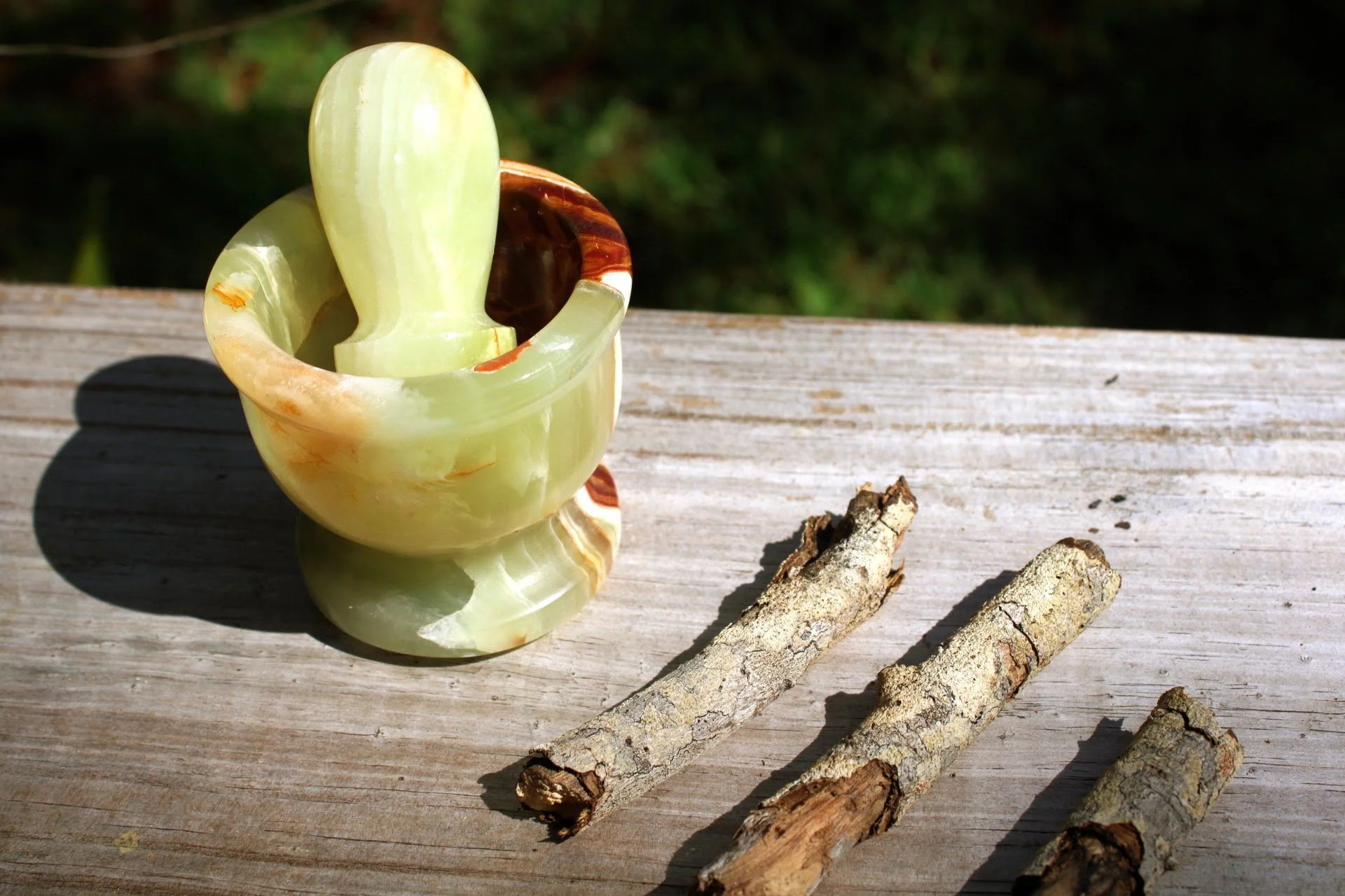 Mortar & Pestle and pieces of wood matching the wood and grass in a Florida backyard
