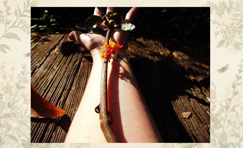 an outstretched arm decorated in sticks, leaves, and butterfly weed in the forest